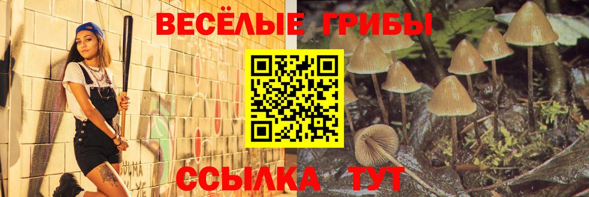 Псилоцибиновые грибы MAGIC MUSHROOMS Арзамас