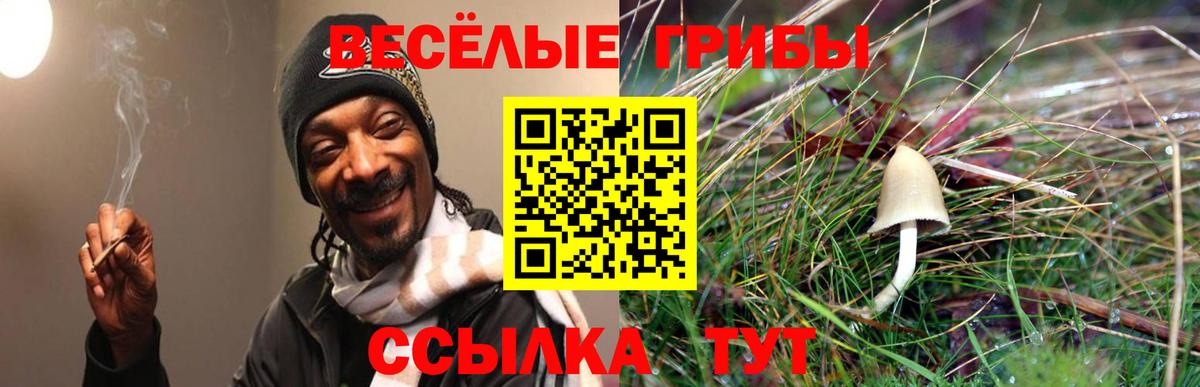 Галлюциногенные грибы прущие грибы  Псилоцибиновые грибы ЛСД  Вход с VPN  купить  цена  Арзамас 